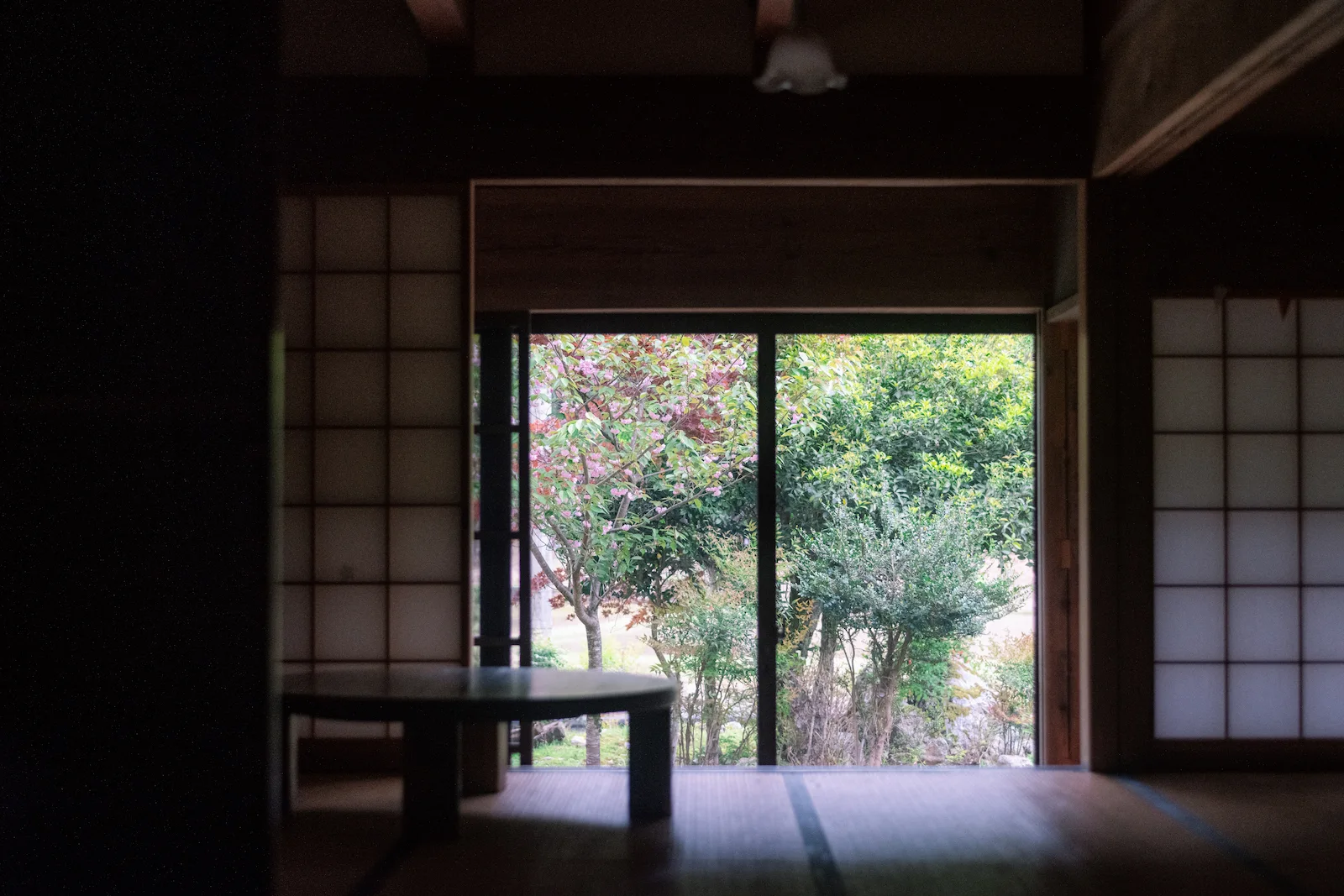 庭に向かって開かれた和室