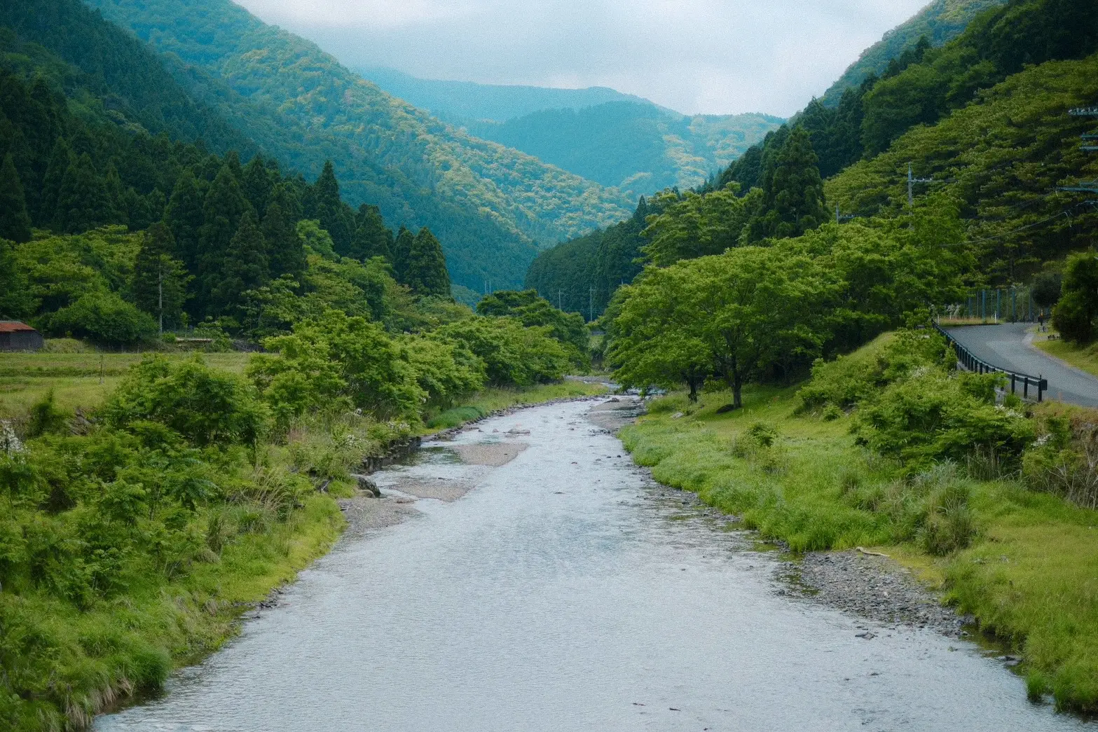 山あいを流れる夏の川